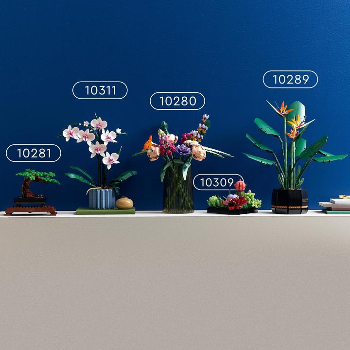 Image du produit LEGO Les succulentes (10309, LEGO Botanical, LEGO difficiles à trouver)