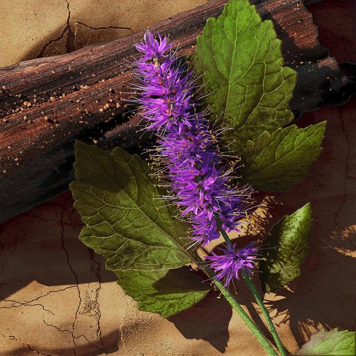 Immagine prodotto Davidoff Zino (Eau de toilette, 125 ml)