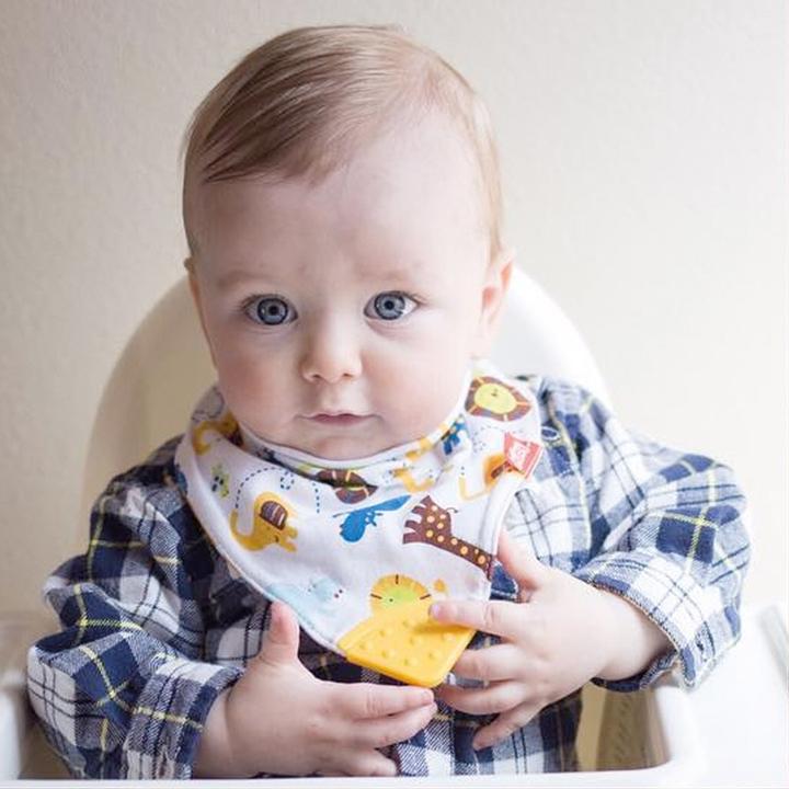 Actual product image Nuby Bib with bite corner (3 Months)