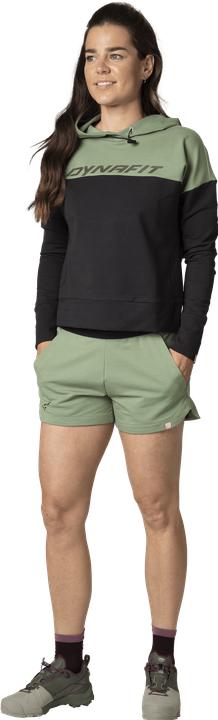 Produktbild Dynafit 24/7 Kapuzenpullover (S)