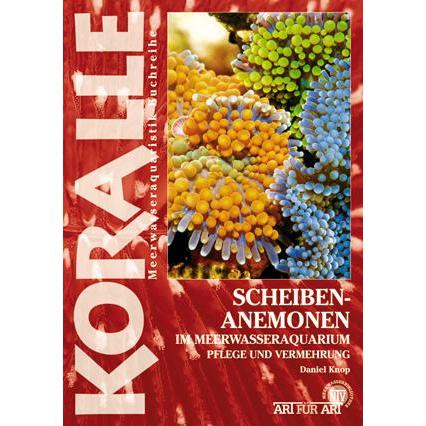 Scheibenanemonen, Ratgeber von Daniel Knop