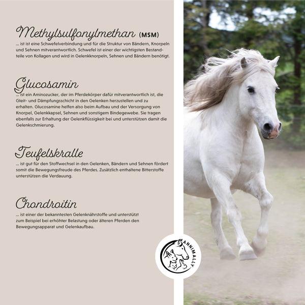 Produktbild Annimally Muskelpower Pulver - Nachfüllpackung (1 x, 2000 g)