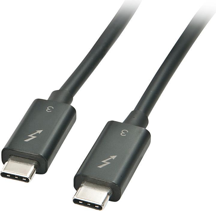 Produktbild Lindy USB-C - USB-C USB-Kabel 0,5 m schwarz (41555) (0.50 m, USB 3.1)