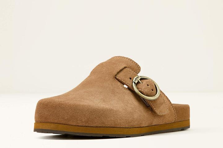 Image du produit Ariat Country (37)