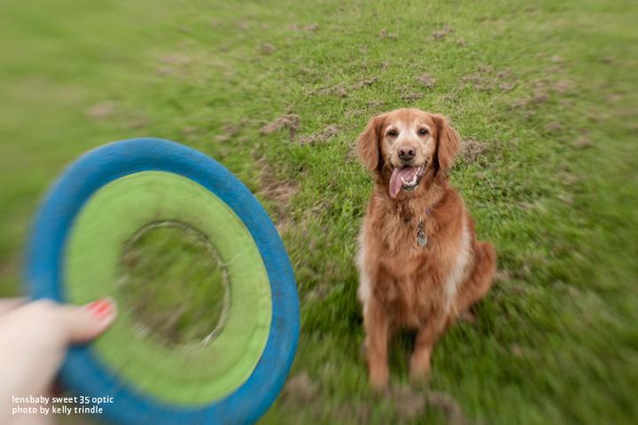 Image du produit Lensbaby Sweet 35 Optic, f2.5 - f22 (Plein format)