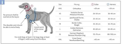 Produktbild Trixie Premium Halsband (XS, S, Hund, Allgemein)