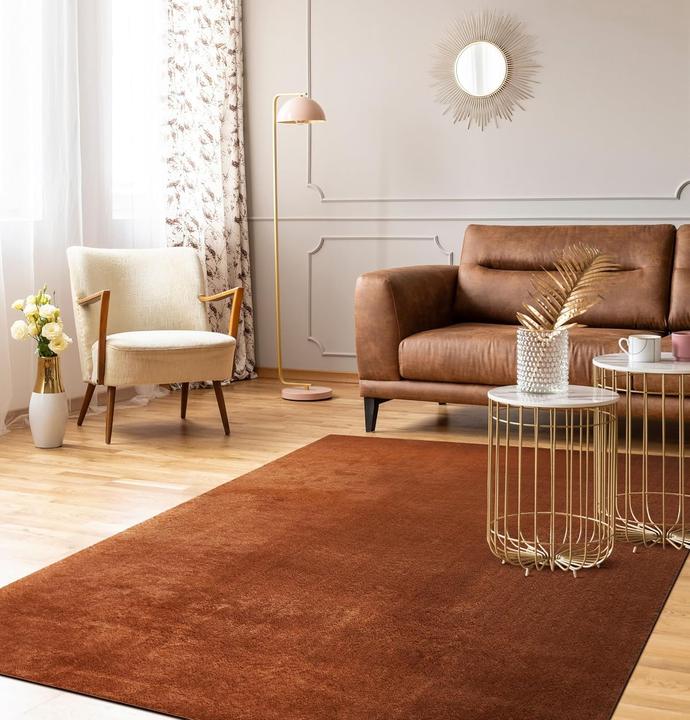 Actual product image Paco Home Teppich Weich Super Soft Wohnzimmer Cuivre - 100x200 (100x200 cm)