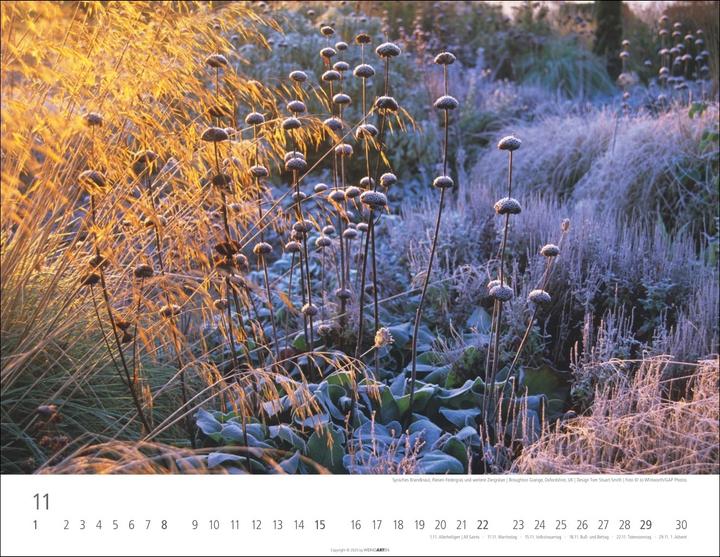 Immagine prodotto Gräser Kalender 2026 (44 x 34 cm)
