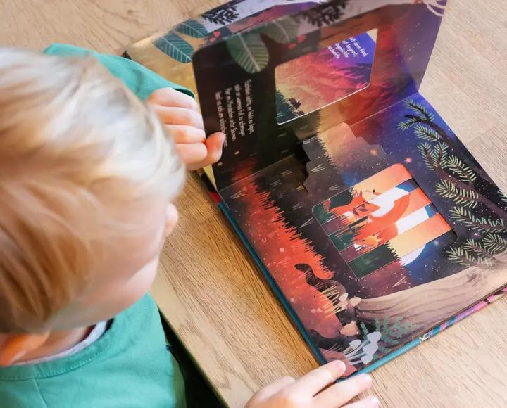 Produktbild Wenn der Mond am Himmel steht (Deutsch)