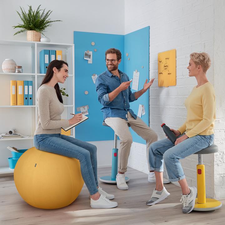 Produktbild Leitz Ergo Cosy Active Sitzball (65 cm)