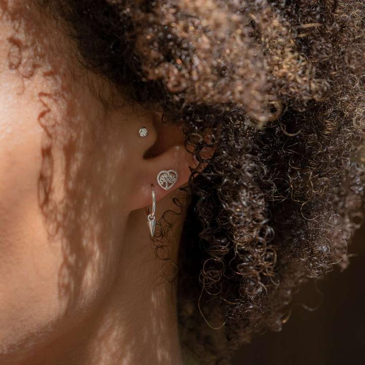 Immagine prodotto Bijouteria Orecchini (Argento 925)