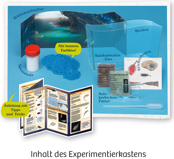 Actual product image Kosmos Scrambling crayfish
