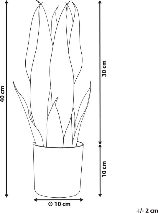 Immagine prodotto Beliani Snake Plant (40 cm)