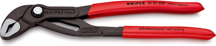 Actual product image Knipex Cobra (250 mm)