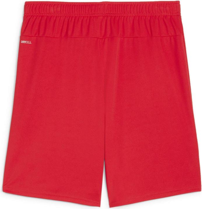 Image du produit Puma teamGOAL Short (S)