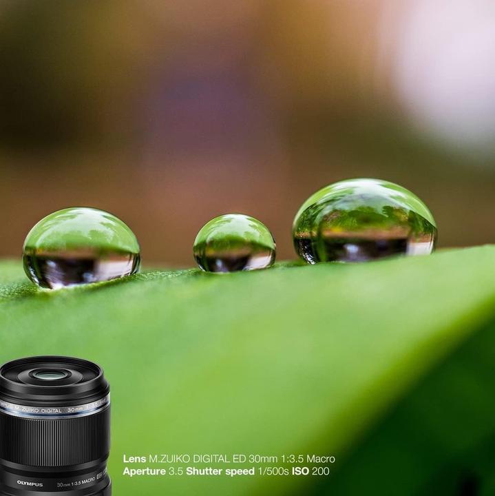 Immagine prodotto Olympus ED 30mm f/3.5 Macro (Micro Four Thirds, Micro Four Thirds)