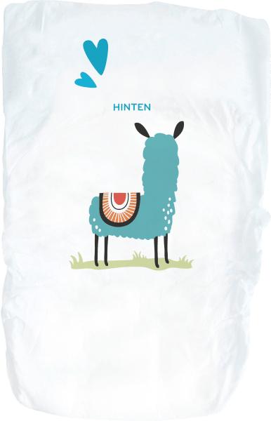 Actual product image dm babylove Premium-Windeln (Size 5)