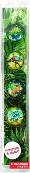 Produktbild Trendform Magnetbrett Story Box Chameleon 5 x 30 cm (1 x)