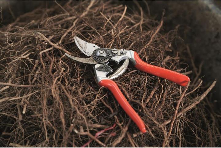 Produktbild Felco Gartenschere 14