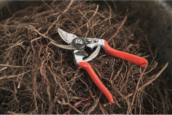 Produktbild Felco Gartenschere 14