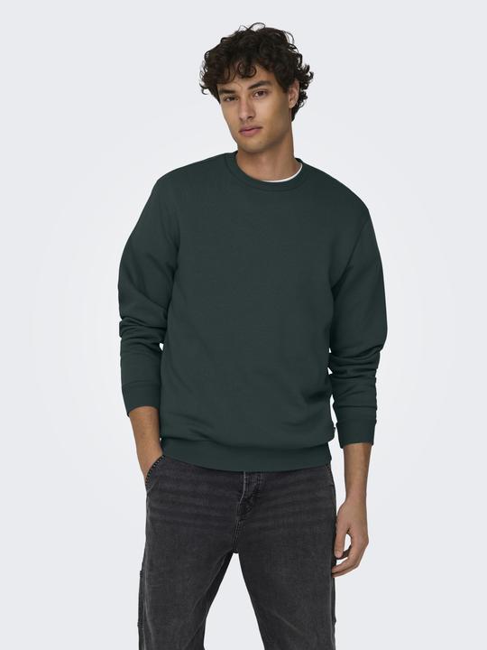 Actual product image Only & Sons Onsceres Crew Neck Noos (M)