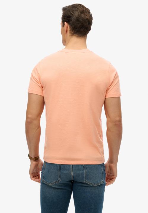 Actual product image Superdry Terrain Logo Stripe Relxed Tee (S)