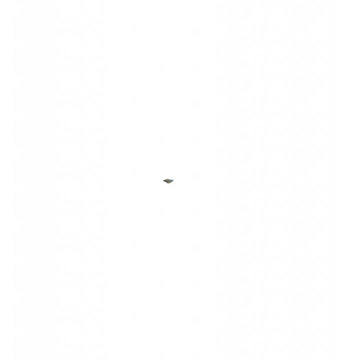 Produktbild OKI Transportband