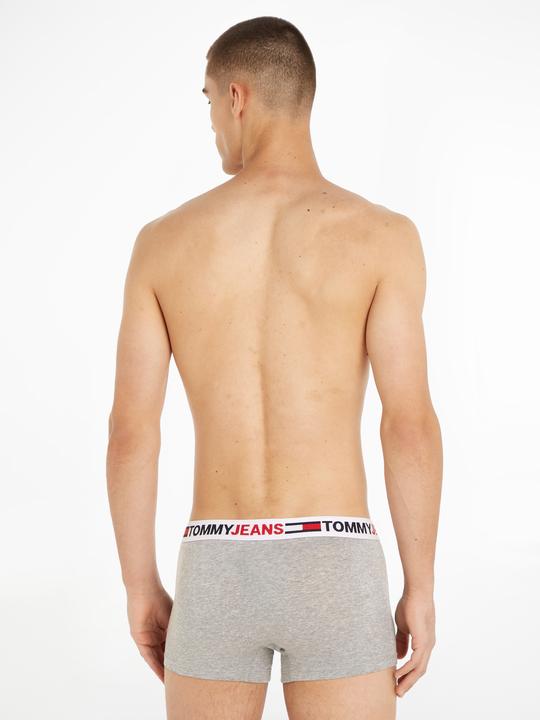 Image du produit Tommy Hilfiger Tronc UM0UM02401 P4A XL (XL)