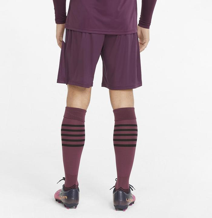 Produktbild Puma teamLIGA Shorts (L)