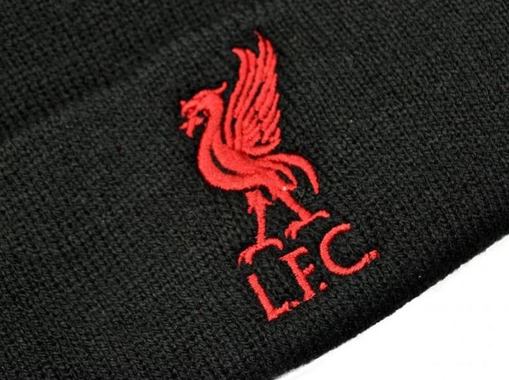 Produktbild Score Draw Erwachsene Bronx Liver Bird gestrickt aufgedrehte Manschette Beanie (One Size)