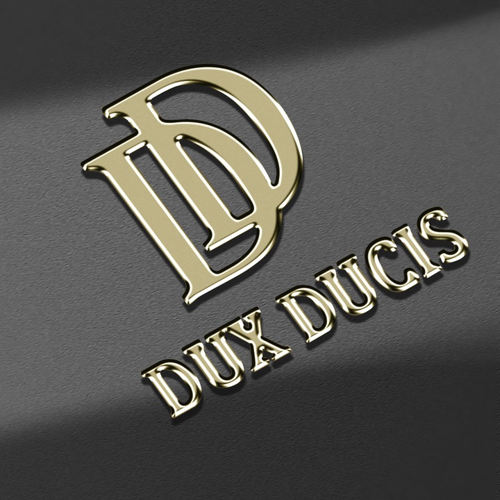 Produktbild Dux Ducis Skin Pro Series Bookcover (Realme 12 Pro+)