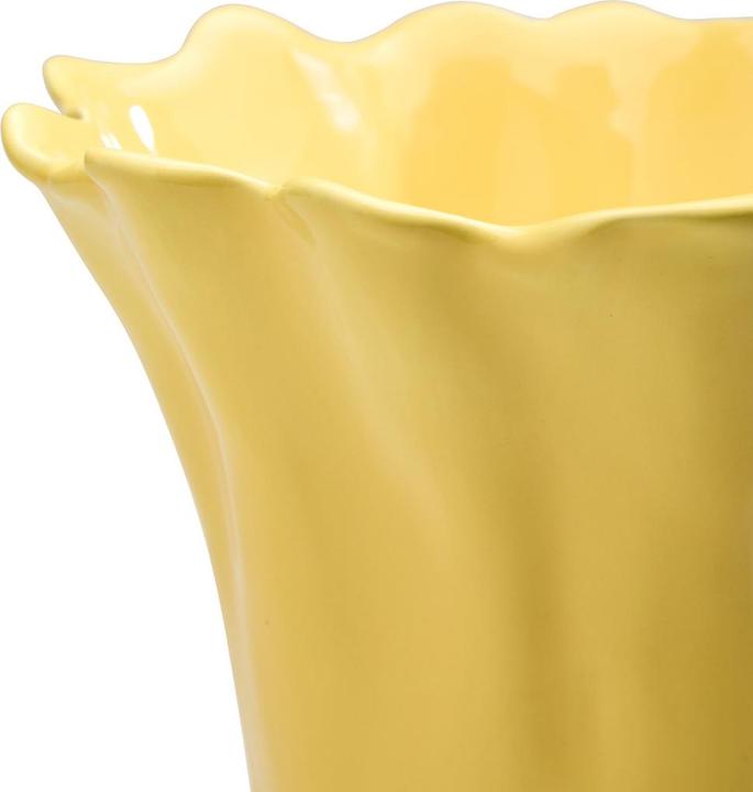 Immagine prodotto BYYU Babados (1 x)