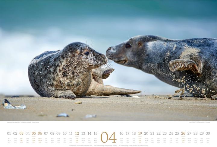Image du produit Tage am Meer Kalender 2026 (45 x 33 cm, Couverture rigide, Anglais, Français, Allemand)