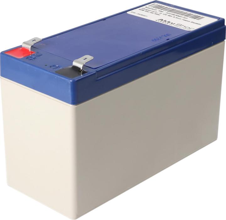 Immagine prodotto Ultracell UL9-12 12V 9Ah 6,3mm Faston Piombo Batteria AGM Piombo Gel (12 V, 9 Ah)