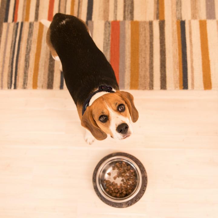 Image du produit Relaxdays Horloge murale (22.50 cm)