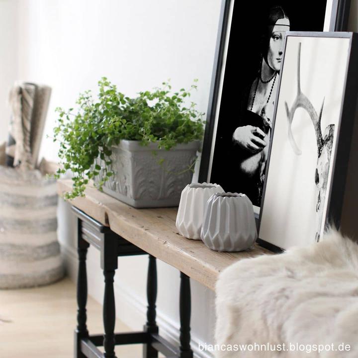 Image du produit Trenddeko Crâne de cerf (40 x 50 cm)
