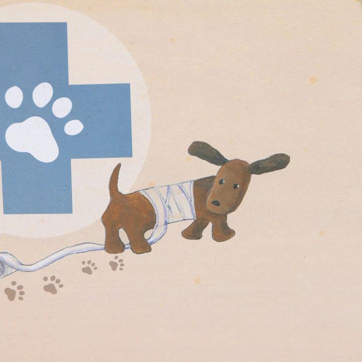 Produktbild Egmont Toys - Veterinary Case - (570116)