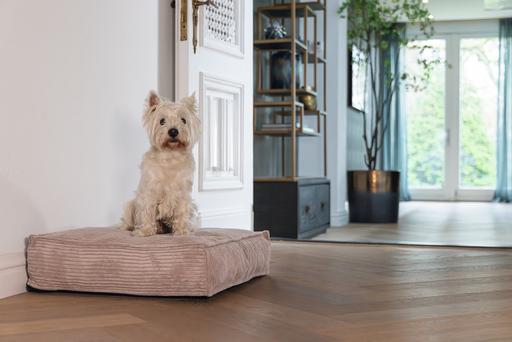 Produktbild Designed by Lotte Ribbed (Hund)