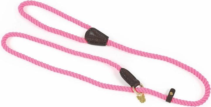 Actual product image Digby & Fox Rope Leather Dog Slip Lead (One size, Dog, Dog sport)