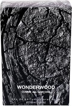 Immagine prodotto Comme des Garçons Wonderwood (Eau de parfum, 100 ml)