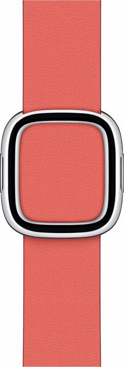 Produktbild Apple Modern Buckle Large (40 mm, Granada Leder)