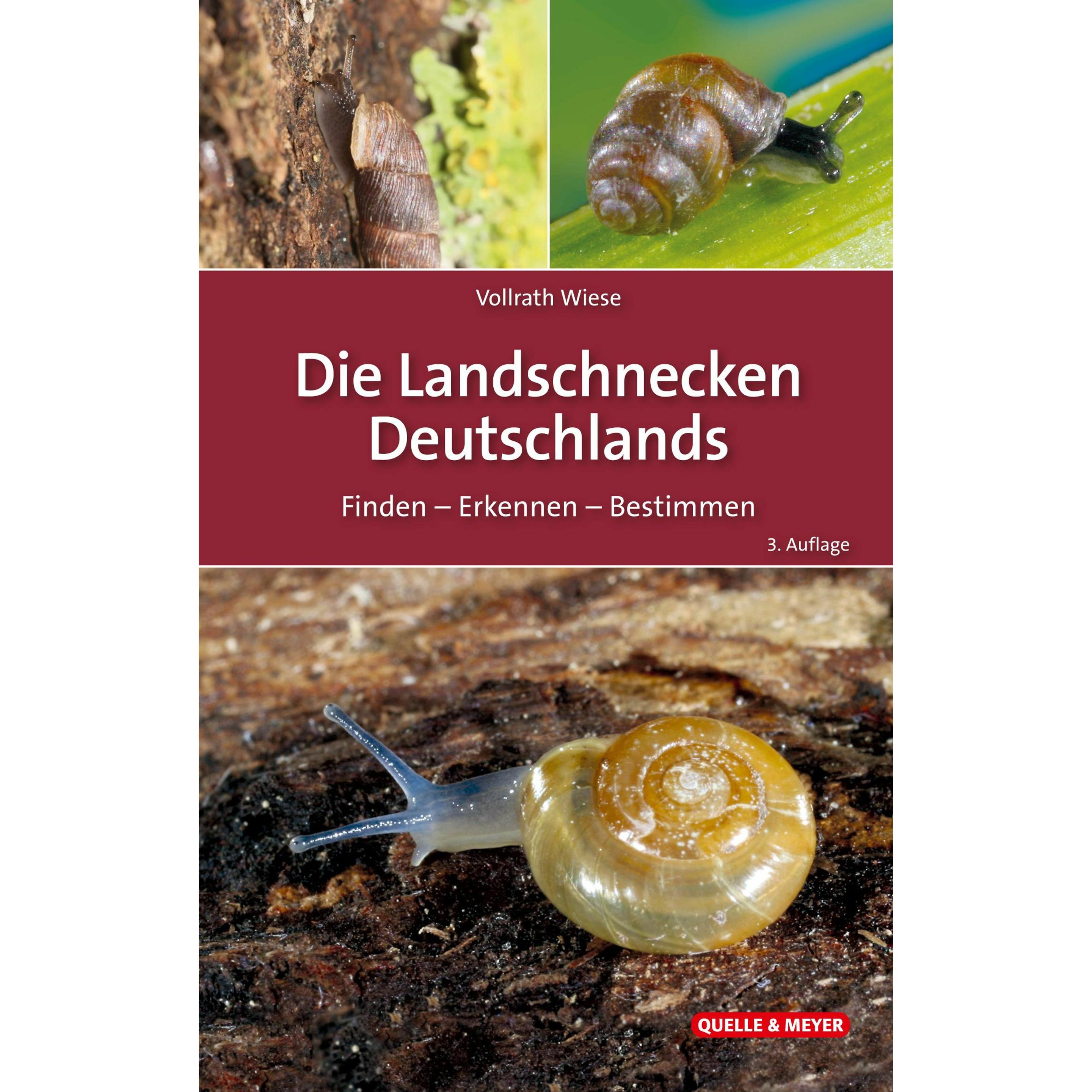 Die Landschnecken Deutschlands, Ratgeber von Vollrath Wiese