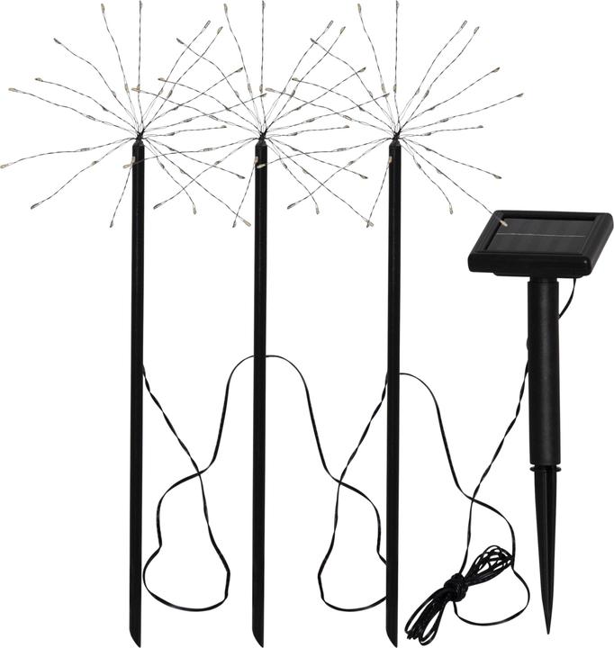 Image du produit Star Trading Firework (IP44)