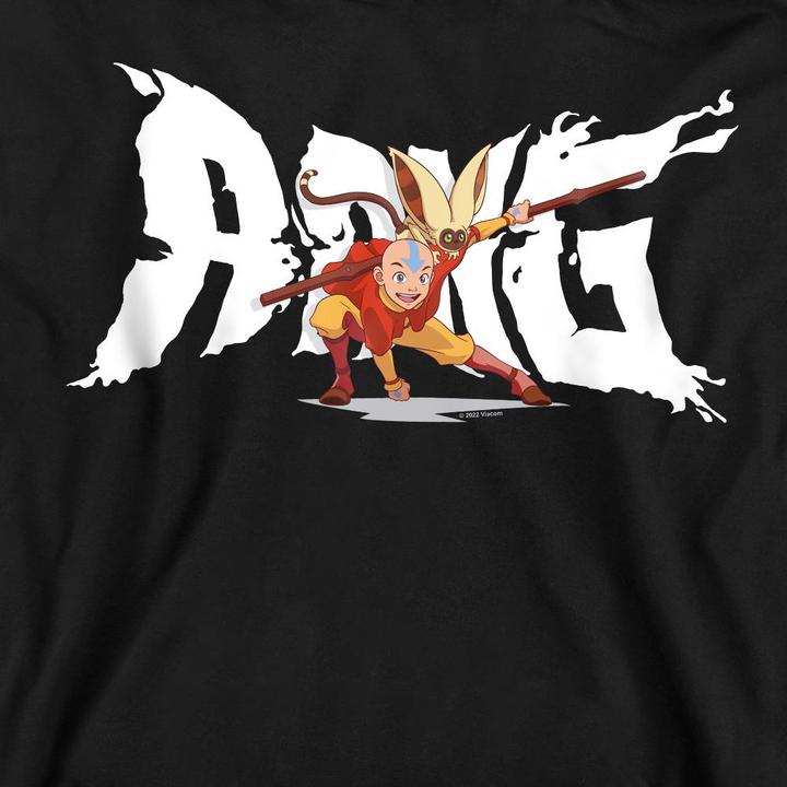 Actual product image Avatar: The Last Airbender Unisex Adult Aang & Momo Sweatshirt (XL)