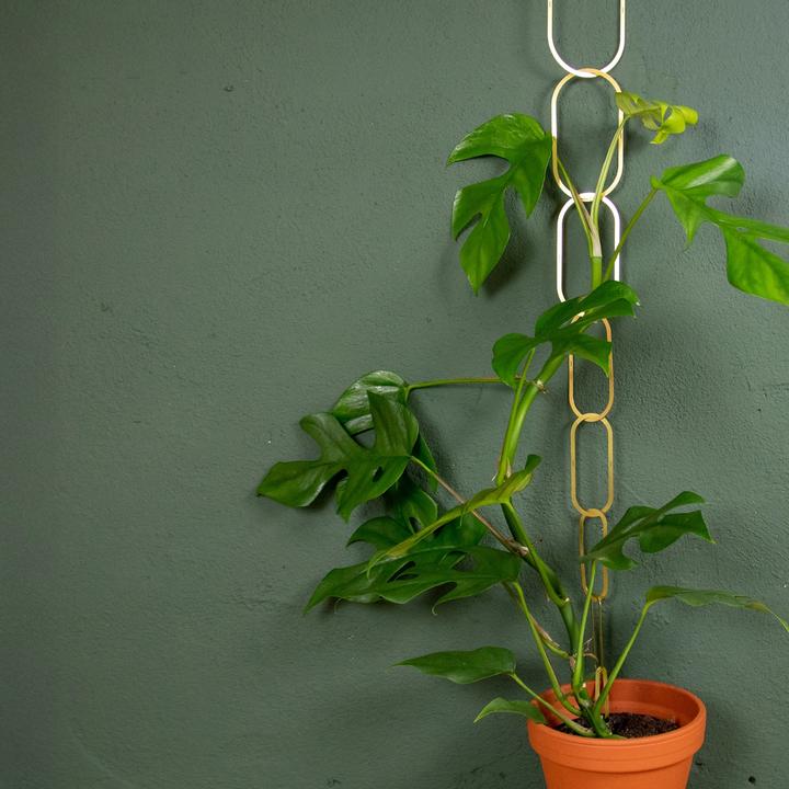 Produktbild Botanopia Rankhilfe