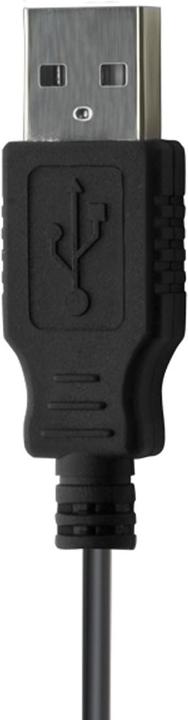 Image du produit Bigben Câble 30 broches vers USB-A - 1A