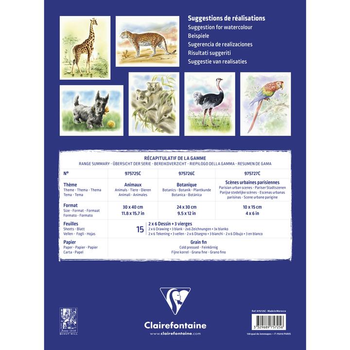 Actual product image Clairefontaine Moist techniques (300 g/m², 1x)