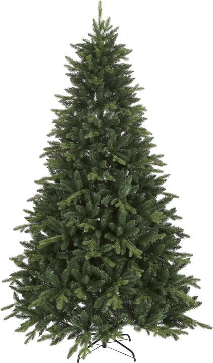 Image du produit Star Trading Bergen (210 cm)
