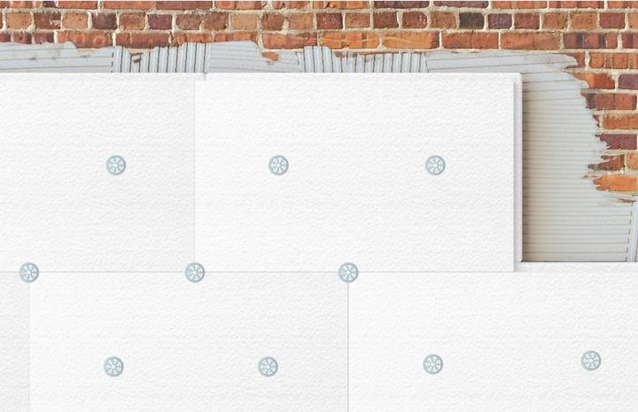 Actual product image Fischer Putzdübel FIF-CS 8/140 (100 pcs.)