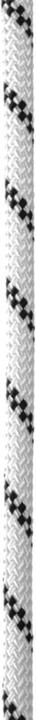 Produktbild Edelrid Performance Static Rope 11,0mm 50m (50 m)